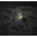 “Noche de demonios”