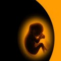 Obispos estadounidenses publican el «Rito para la bendición de un niño en el vientre de su madre»