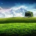 ¿Es la naturaleza una nueva divinidad?