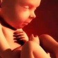La pascua de la resurrección nos revela el verdadero sentido del amor